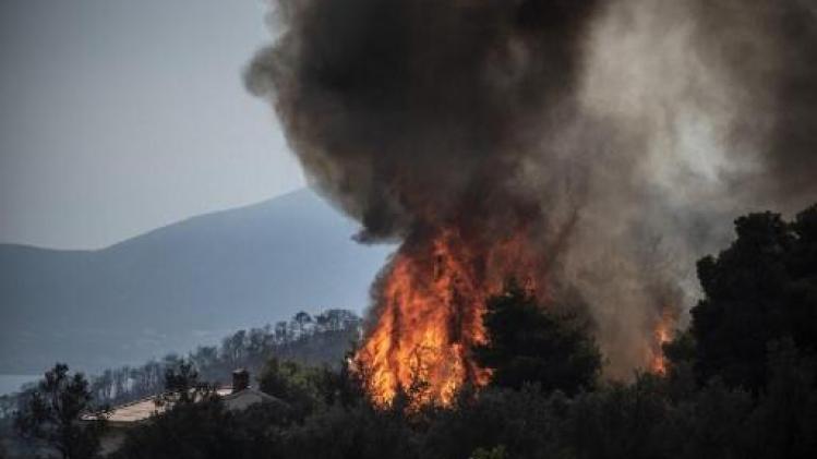 Griekenland wordt geteisterd door diverse bosbranden