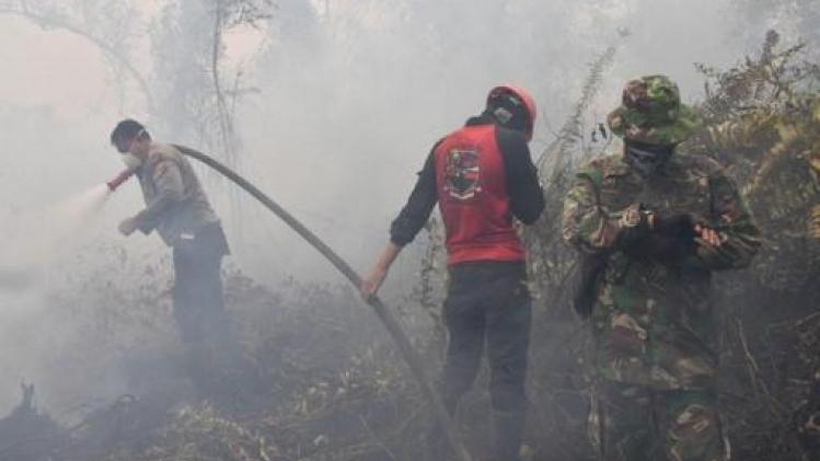 Bijna 200 mensen opgepakt voor bosbranden in Indonesië