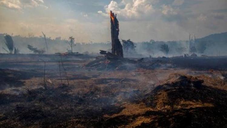 Bosbranden Amazonegebied - Oostenrijks parlement verzet zich tegen Mercosur-akkoord door Braziliaans milieubeleid