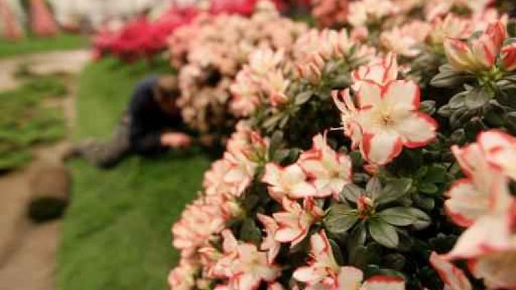 Imponerende kleurenpracht in Gentse binnenstad met terugkeer Floraliën