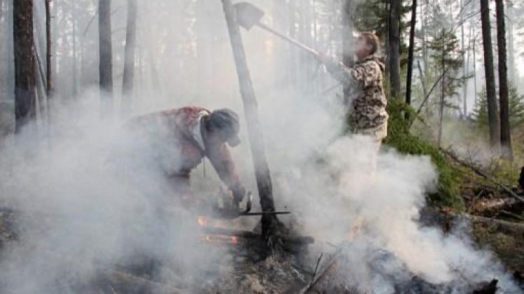 Bosbranden in Siberië geblust