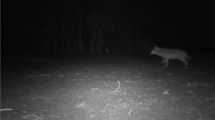 Hubertus Vereniging overweegt klacht wegens laster en eerroof