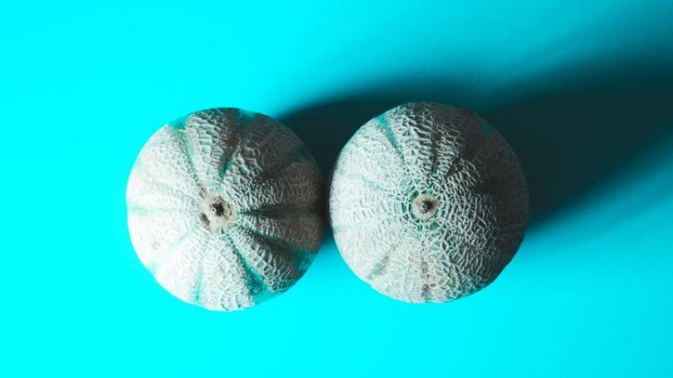 Twee meloenen