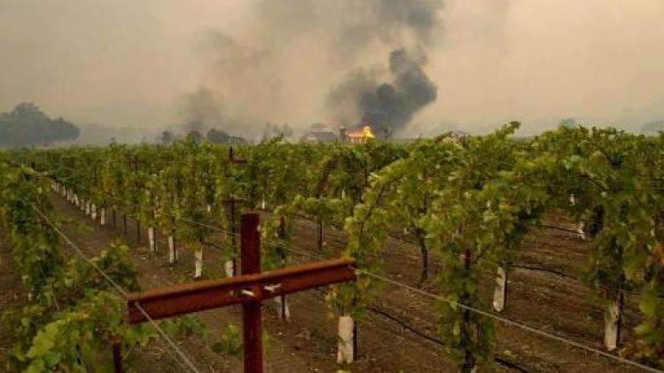 Negenhonderd mensen geëvacueerd na hevige bosbranden in wijnstreek Californië