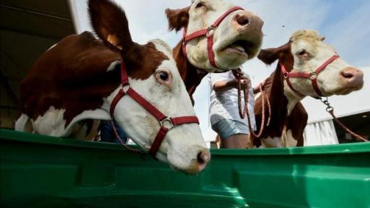 Waalse landbouwfederatie wil dat Delhaize reclameboodschap over biomelk intrekt