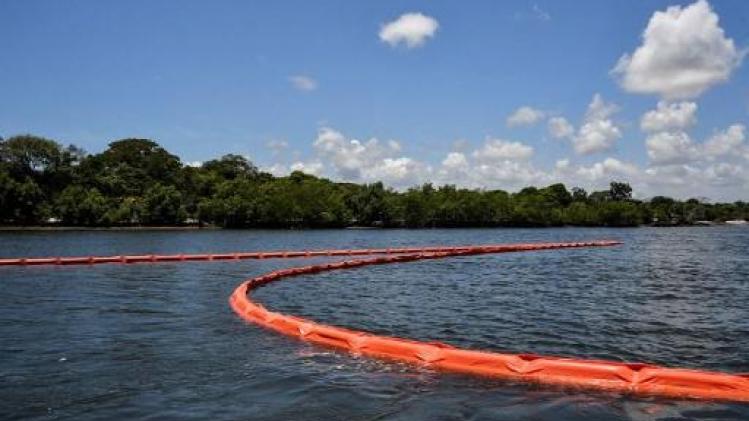Olievlek voor Brazilië tragedie voor mariene ecosysteem