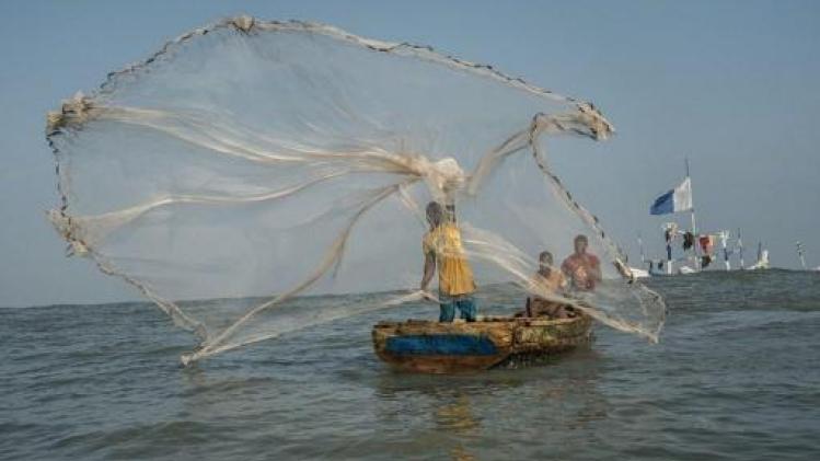 Plastic van visgerei vormt gevaar in zee