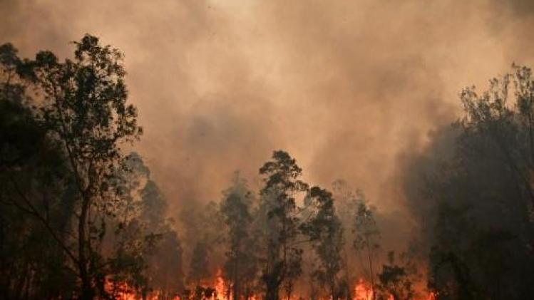 Bosbranden Australië - Noodtoestand uitgeroepen in Australische staat door bosbranden