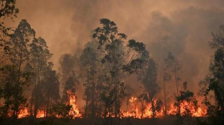 Bosbranden Australië - Al vier doden bij bosbranden in Australië