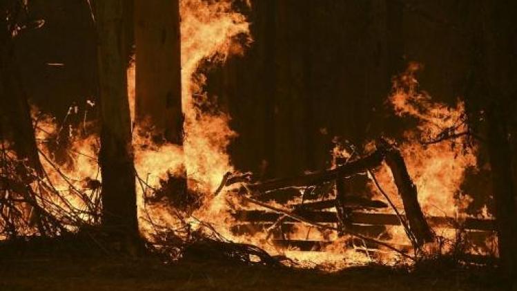 Bosbranden Australië - Australië zet zich schrap voor hitte en sterke wind