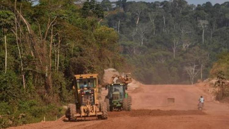 Ontbossing in Braziliaanse Amazonegebied op hoogste niveau sinds 2008