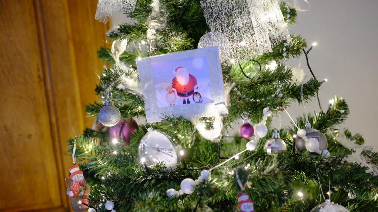 Meer dan 3 miljoen Belgische kerstbomen verkocht