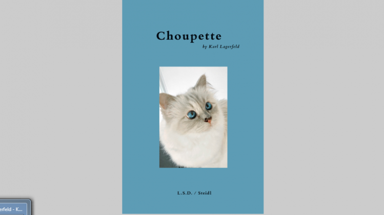 Karl Lagerfelds kat Choupette krijgt een eigen boek