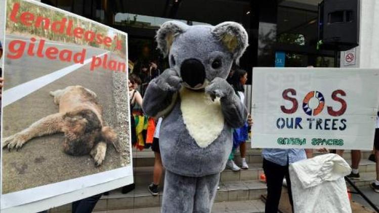 Bosbranden staan centraal bij Australisch schoolstaking voor klimaat