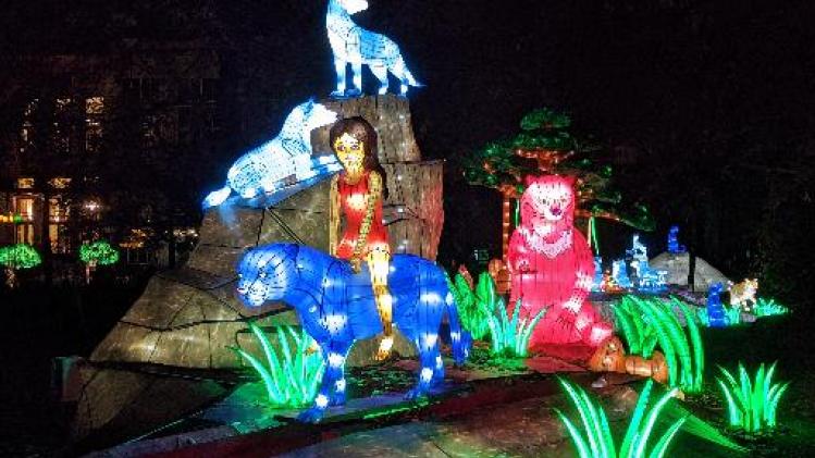 Jungle Book Light Festival van start in Antwerpse Zoo
