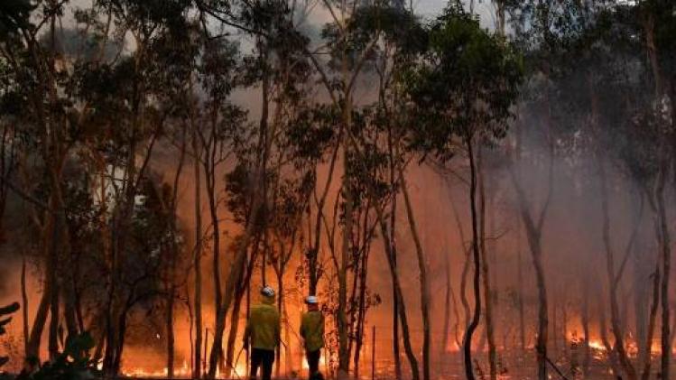 Bosbranden Australië - Toxische wolk nu ook boven Canberra