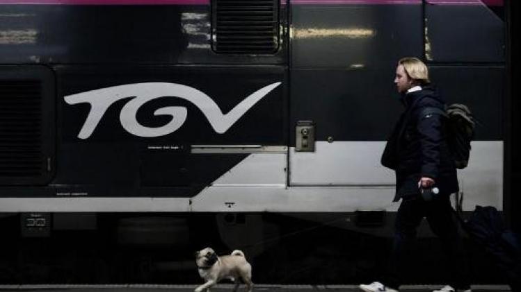Algemene staking Frankrijk - Trein- en metrostaking treffen reizigers in kerstvakantie in Frankrijk