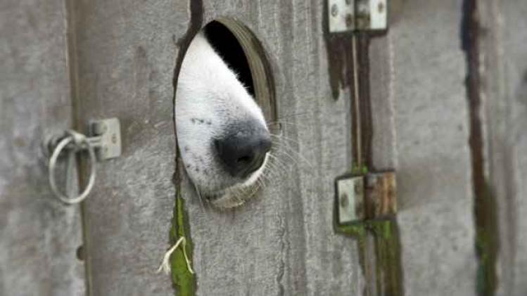 BELGAIMAGE-71861120 1