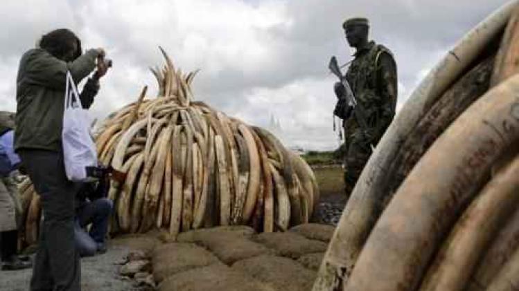 Meer dan 100 ton ivoor wordt in Nairobi verbrand