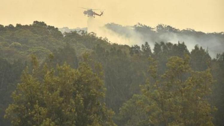 Bosbranden Australië - Twee mensen komen om in Zuid-Australië