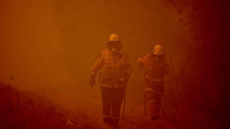 Bosbranden Australië - Premier Morrison krijgt kritiek van brandweermannen