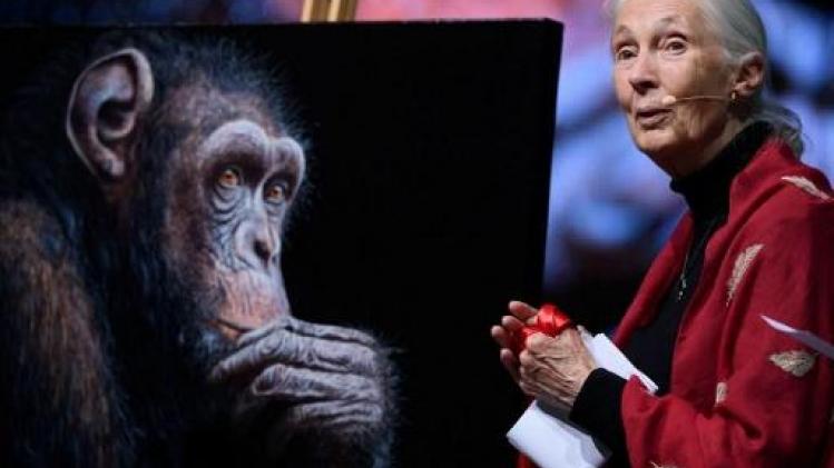 UHasselt reikt eredoctoraat uit aan Jane Goodall