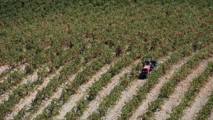 Maffialeden opgepakt in Sicilië voor misbruik Europese landbouwfondsen