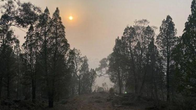 Noodwaarschuwing voor bosbrand nabij hoofdstad Canberra