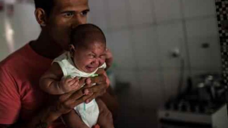 Zikavirus - Bijna 1.300 gevallen van microcefalie vastgesteld in Brazilië