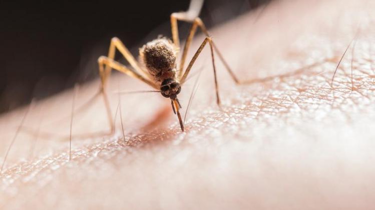 Deze vijf 'feiten' over het coronavirus zijn fake news