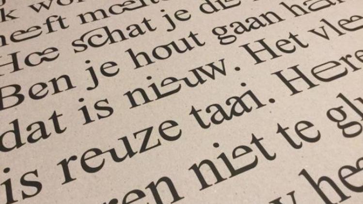 De Vlaamse Scriptieprijs: Nederlands lezen in een oogopslag