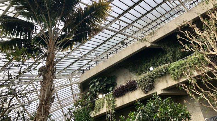 BUCKETLIST TIP. Een bezoekje aan het plantenparadijs van het Barbican Centre in Londen