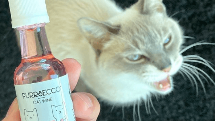 Purrsecco, Pinot Meow of Catbernet: Webshop verkoopt wijn voor... katten