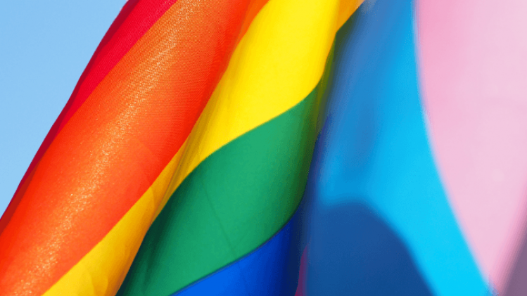 Vandaag is de Internationale Dag tegen Holebi-, Trans- en Interseksefobie: