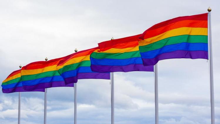Brusselse lokale politie zet meldpunt voor LGBTQI+-slachtoffers op website