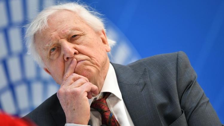94-jarige David Attenborough zet klimaatstrijd verder op Instagram