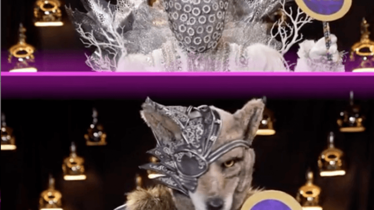 'The Masked Singers' verraden laatste geheimen voor de finale (video)