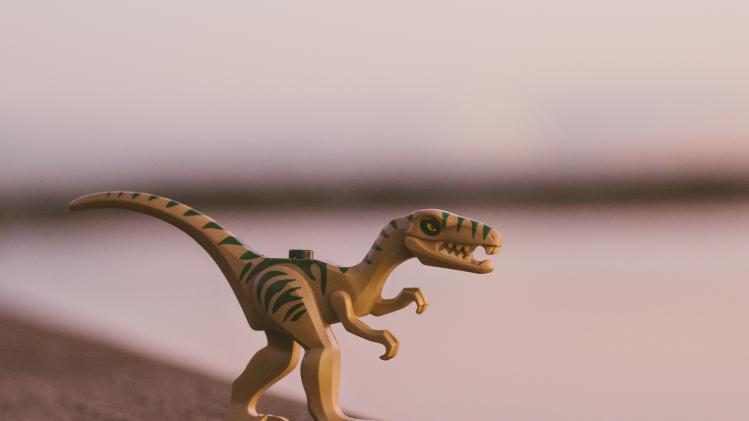 WOW. Kleuter ontdekt pootafdruk van dinosaurus (foto)