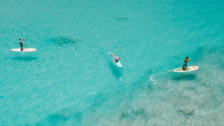 WOW. Paddleboarder krijgt verrassing van zijn leven: Opeens zwom het naast mij (video)