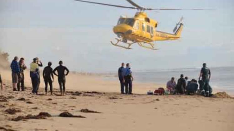 Surfer verliest been bij aanval door haai in Australië