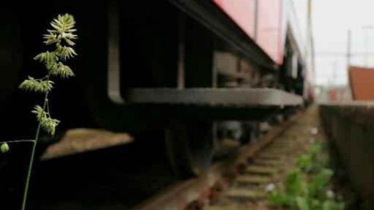 Stakers houden trein meer dan uur op in 's Gravenbrakel