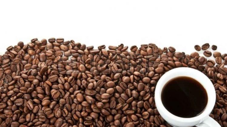 11067310-coffee-beans-and-cup-isolated-on-a-white-background