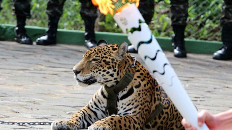 OLY-2016-RIO-OLYMPIC TORCH-JAGUAR