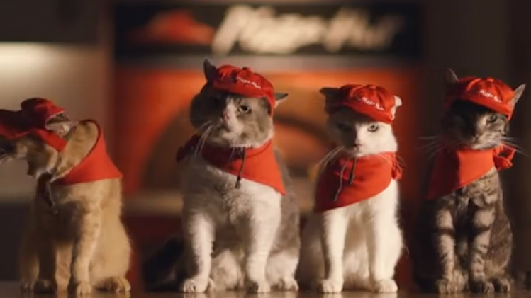 PizzaCats