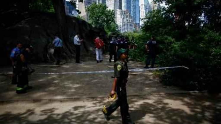 Tiener zwaargewond door explosief in Central Park in New York