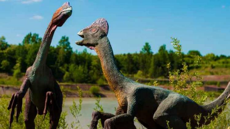 Dinosaurussen communiceerden mogelijk als duiven
