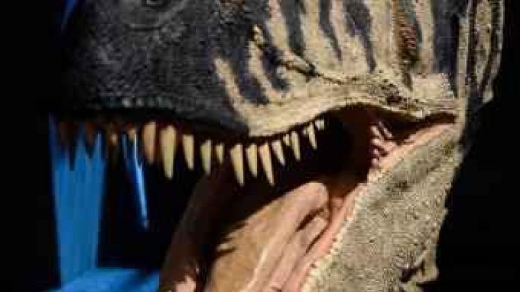 Nieuwe theorie: dinosauriërs gingen in rook op