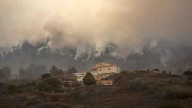Brand op La Palma legde al 2500 hectare dennenbos in de as