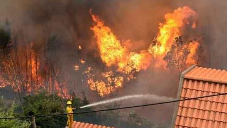 Drie doden bij bosbranden op Madeira