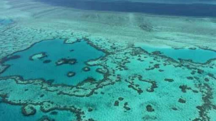 Australië vraagt Unesco beslissing over bedreigd status Great Barrier Reef uit te stellen